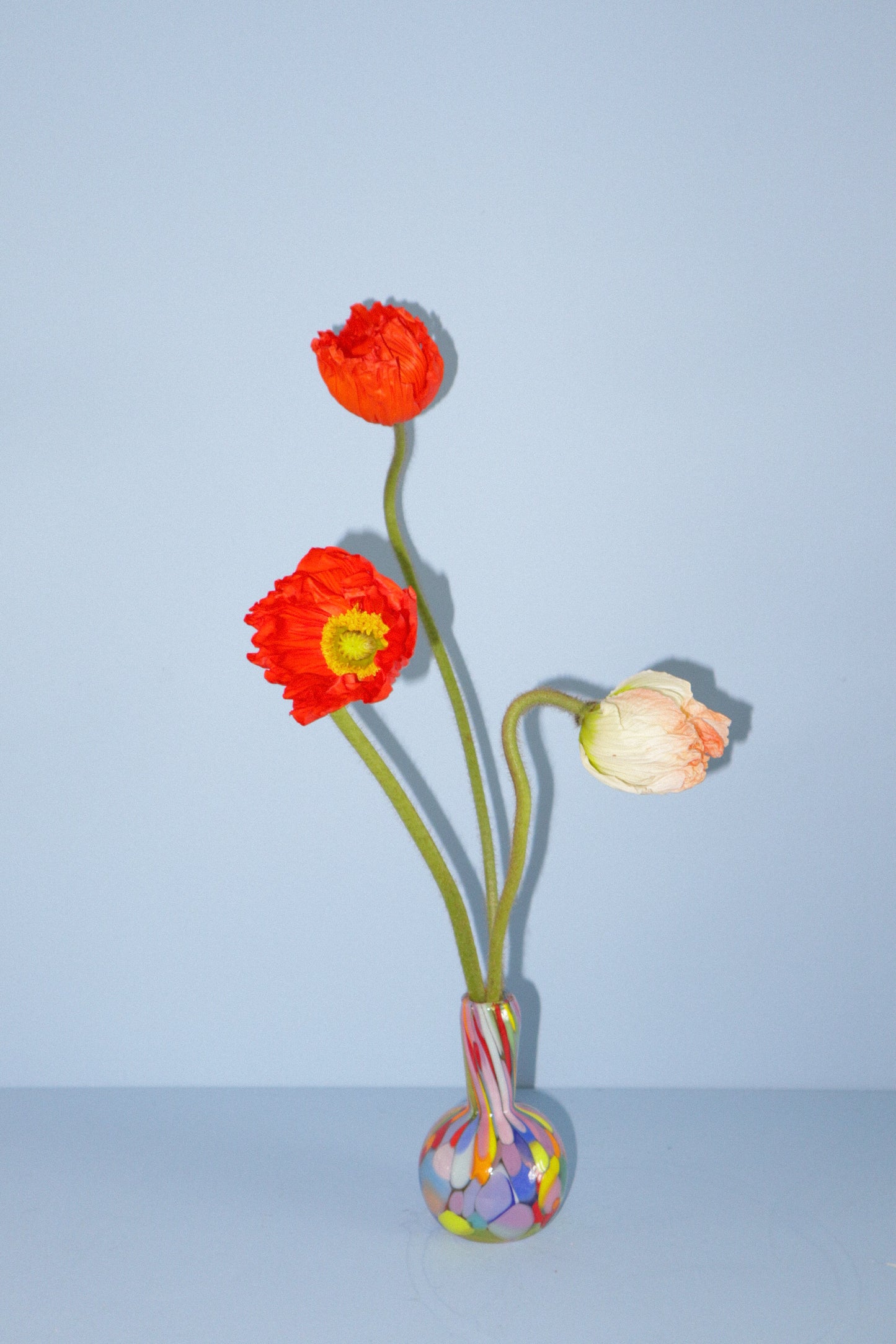 Maria Ida Designs