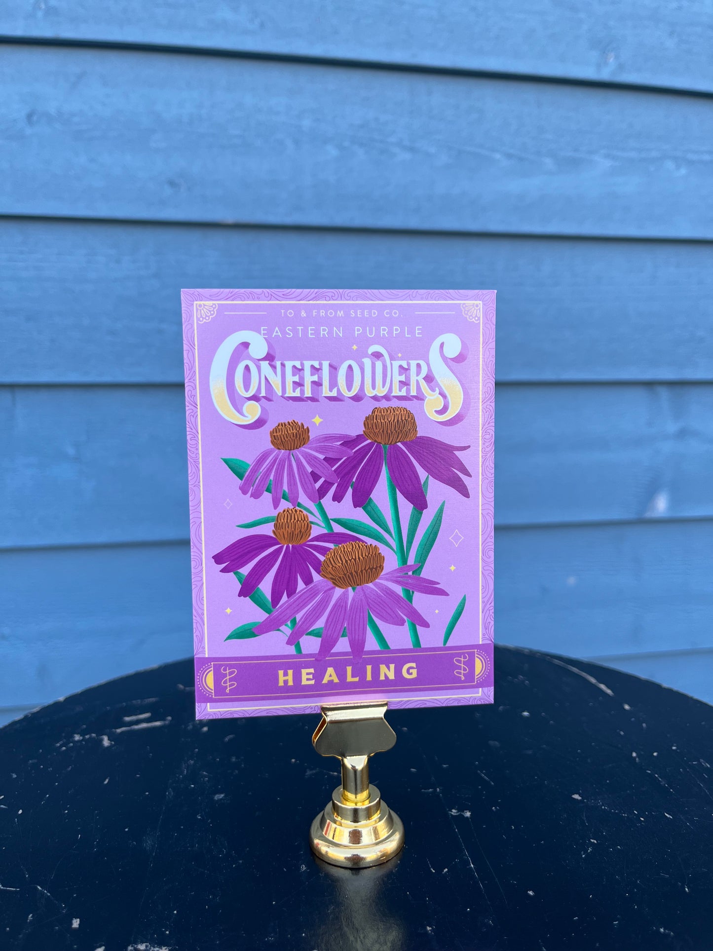 To & From Seeds