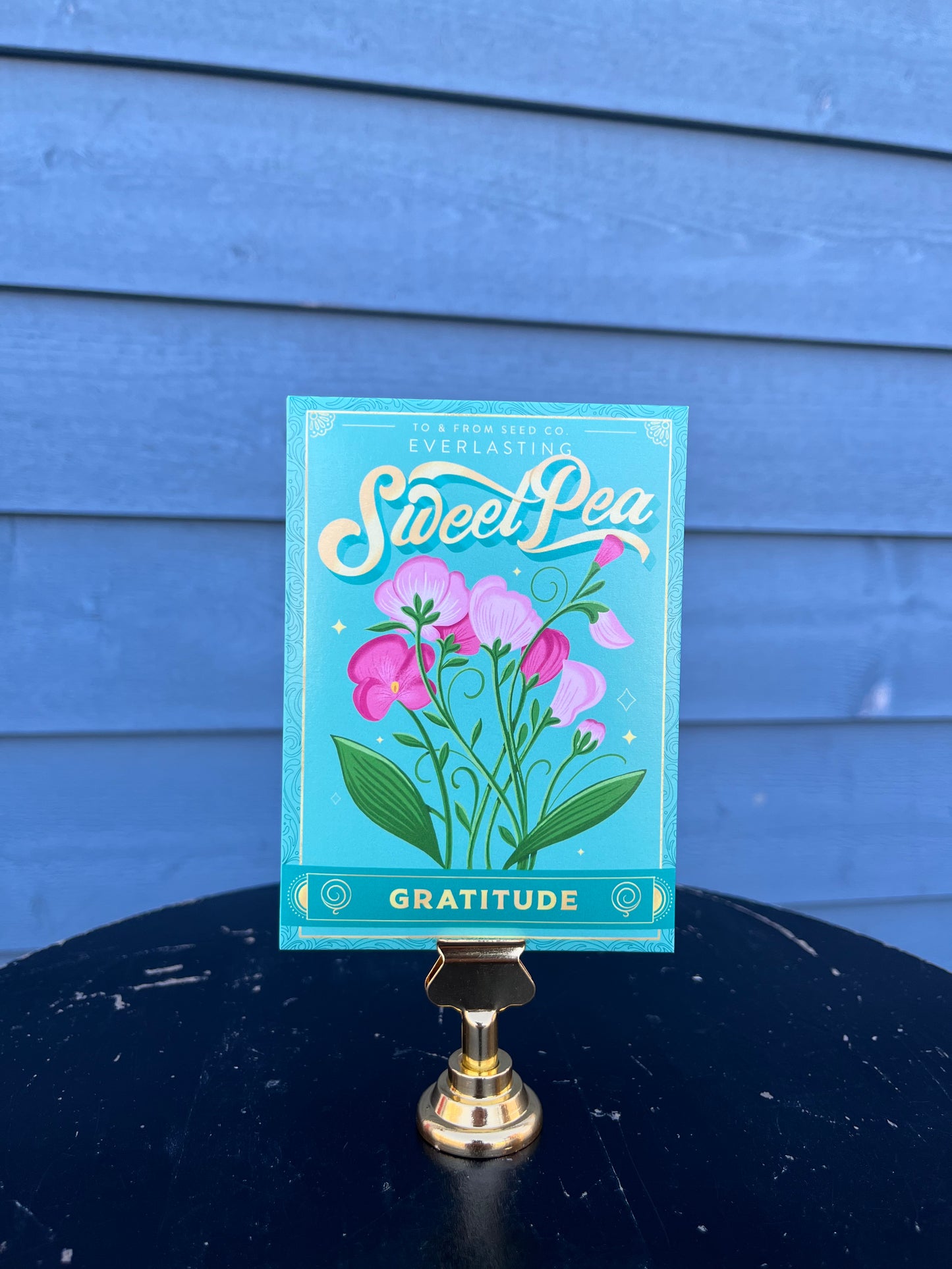 To & From Seeds