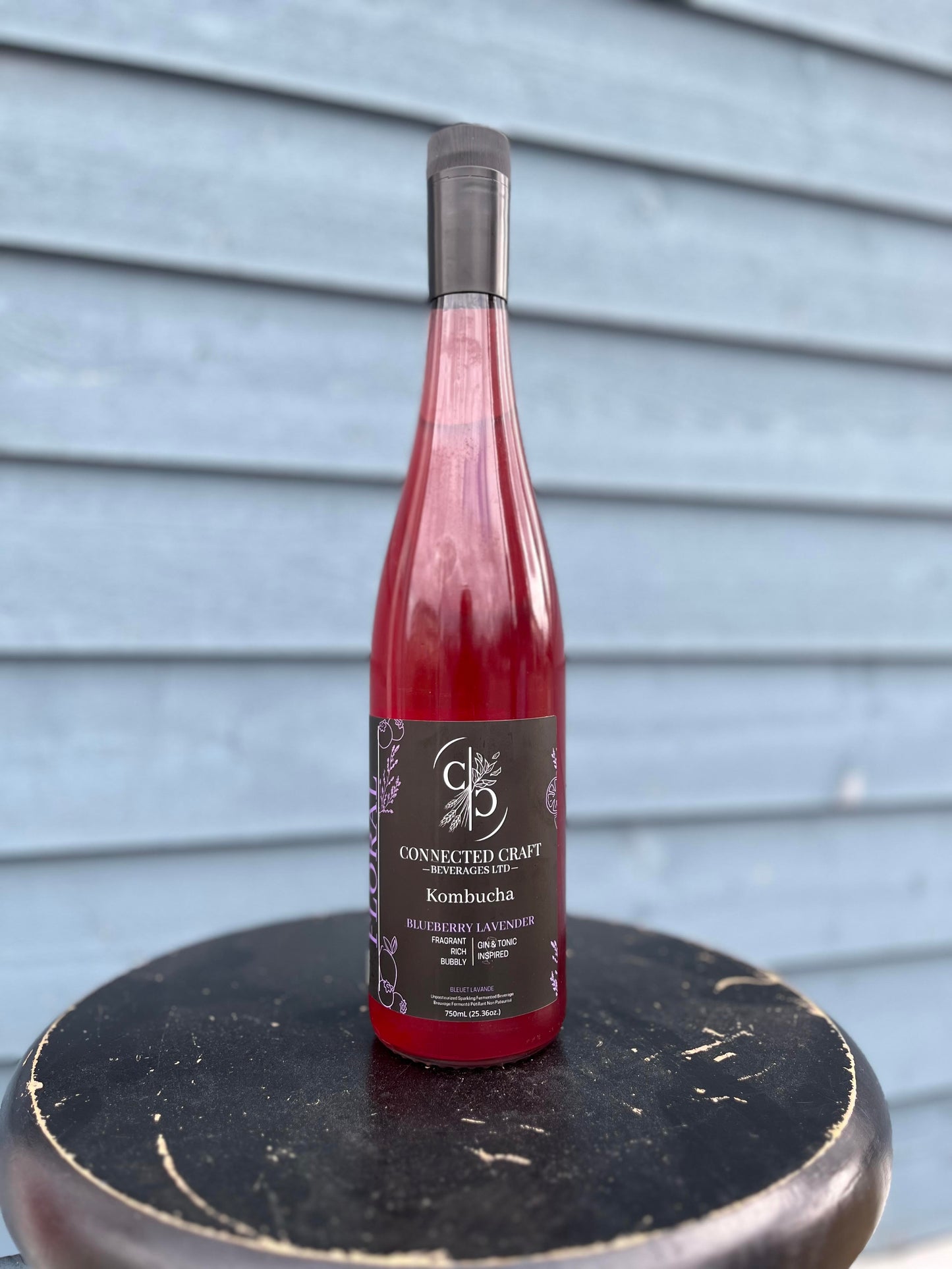 Kombucha