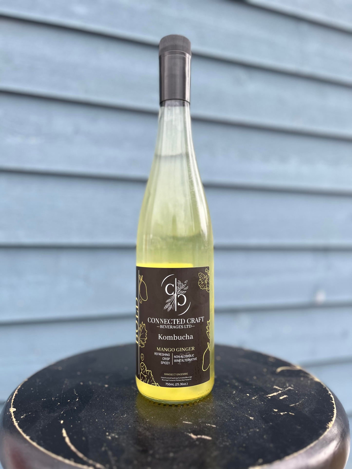 Kombucha