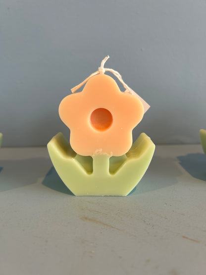 Bizarre Wicks Candles