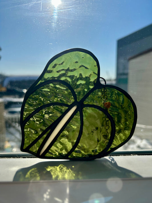 Syd Breaks Glass ✽ stained glass