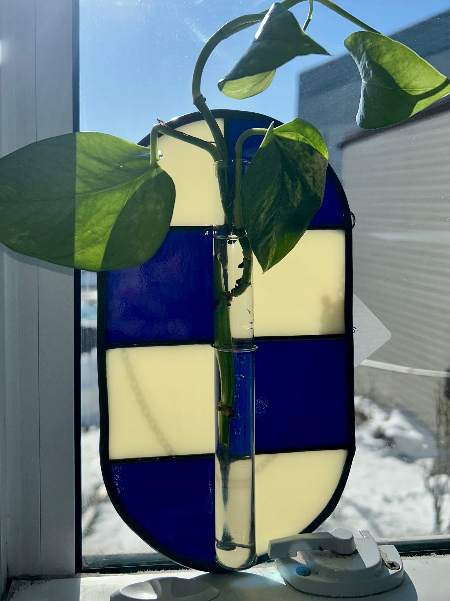 Syd Breaks Glass ✽ stained glass